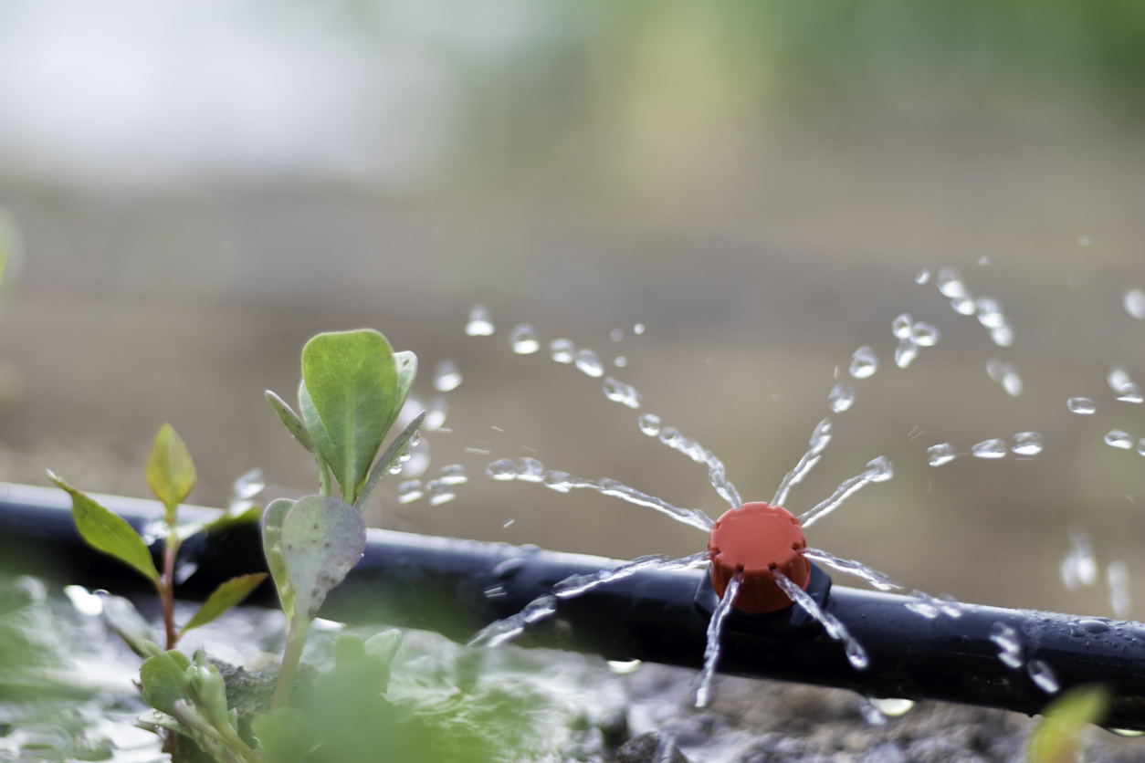 Everything You Need to Know About Florida Irrigation and Supply