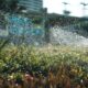 Sprinkler watering a lush green garden in a backyard on a sunny day, promoting healthy lawn care and efficient irrigation.