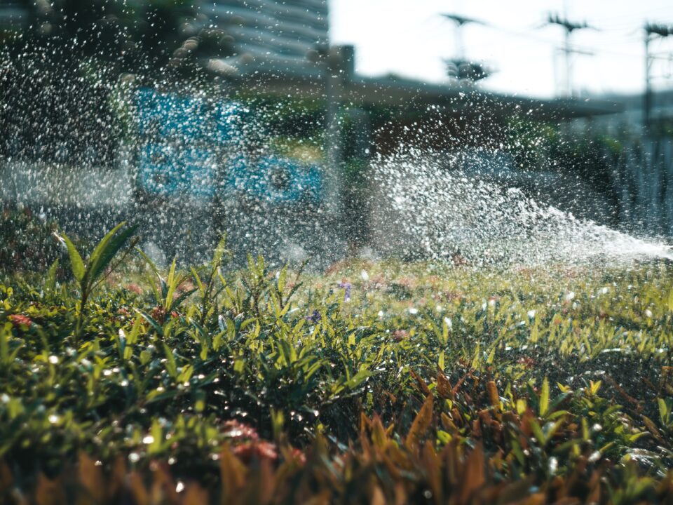 Sprinkler watering a lush green garden in a backyard on a sunny day, promoting healthy lawn care and efficient irrigation.
