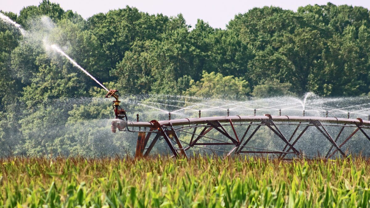 Center pivot irrigation system watering a large green cornfield with trees in the background, showcasing efficient agricultural irrigation technology.
