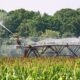 Center pivot irrigation system watering a large green cornfield with trees in the background, showcasing efficient agricultural irrigation technology.