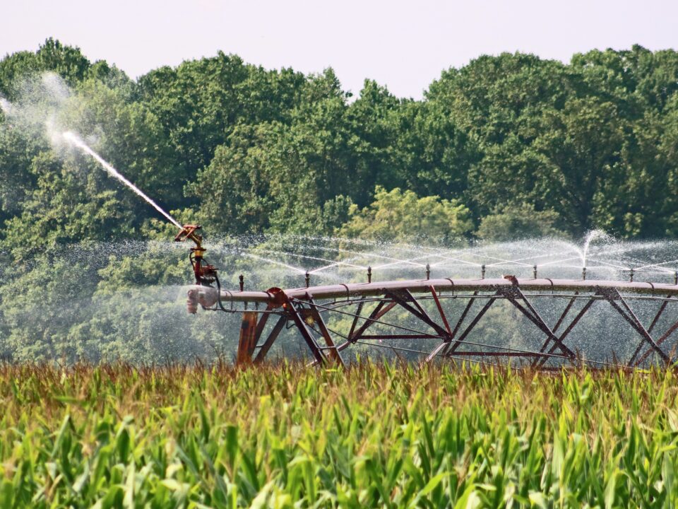 Center pivot irrigation system watering a large green cornfield with trees in the background, showcasing efficient agricultural irrigation technology.