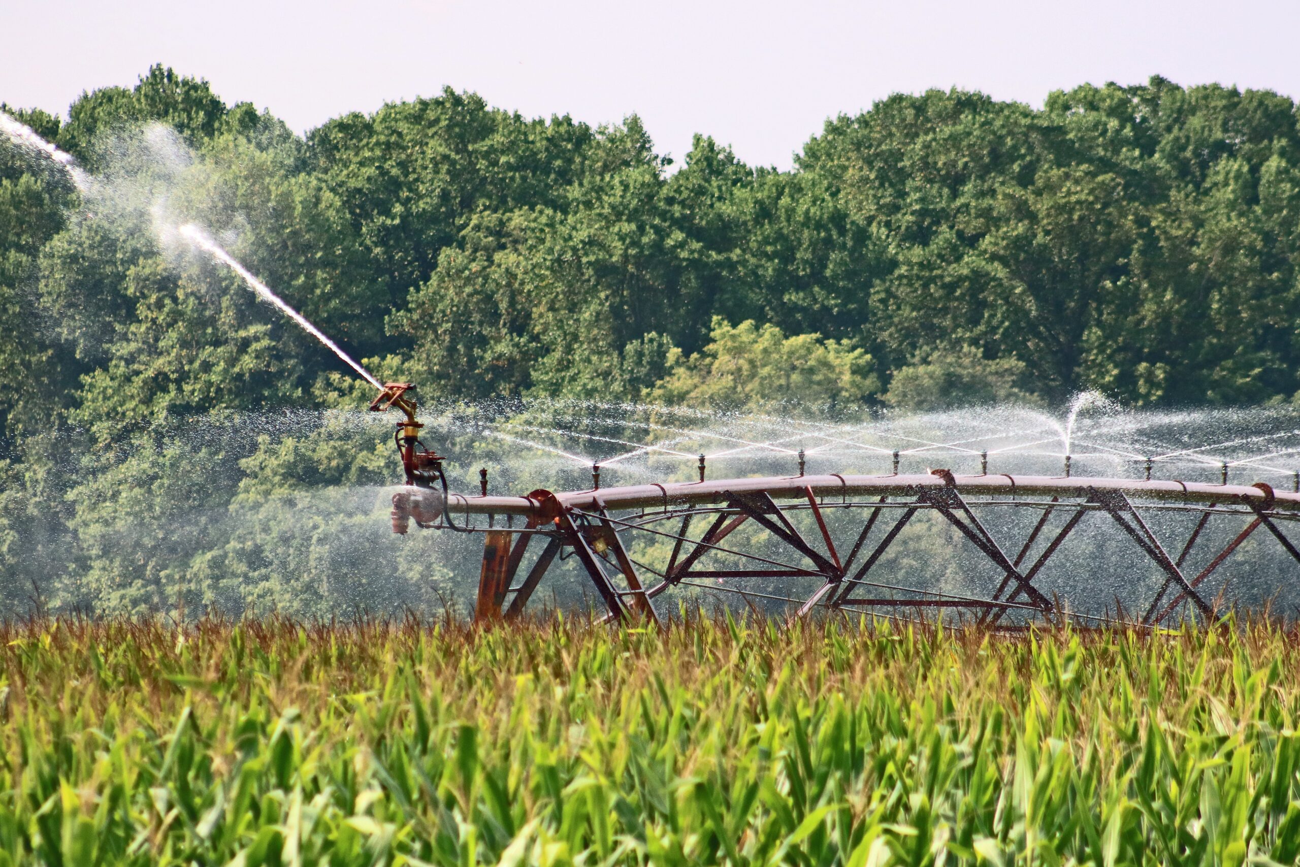 Irrigation Supplies