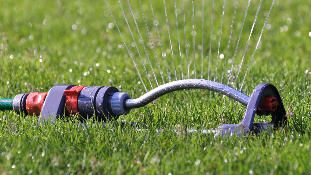 Close-up of a lawn sprinkler spraying water in even streams over green grass, showing effective residential irrigation in action.