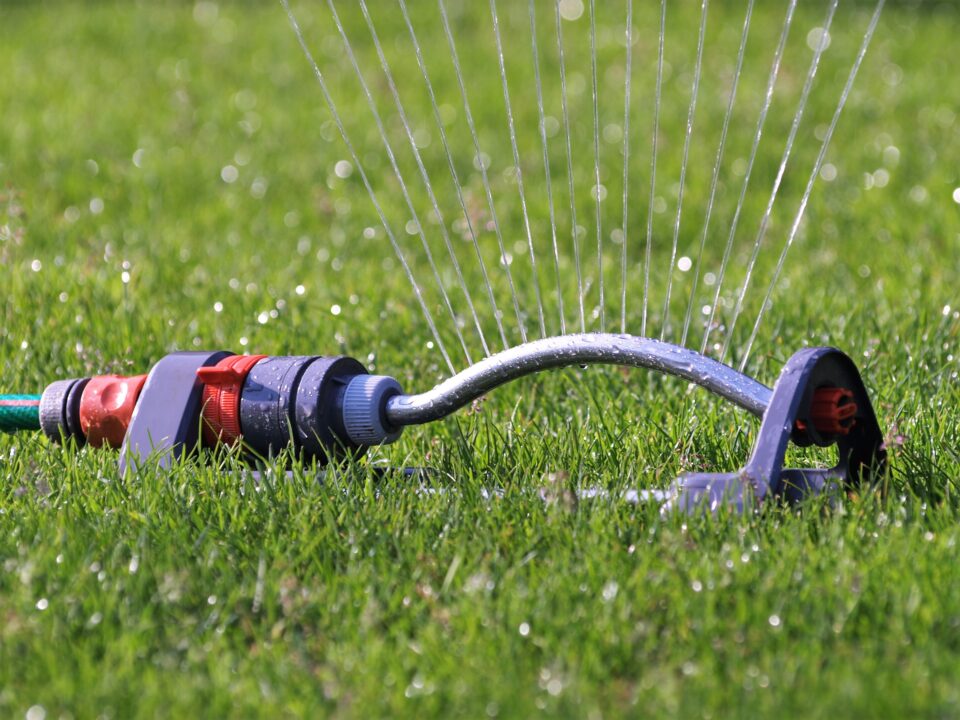 Close-up of a lawn sprinkler spraying water in even streams over green grass, showing effective residential irrigation in action.